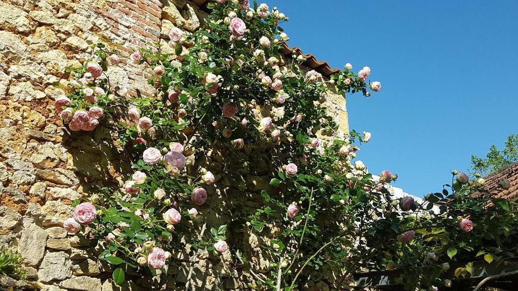 Le Clos Des Songes Saint-Leon-sur-Vezere Exterior foto